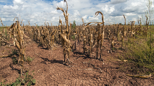 Die neue KI soll helfen, die Folgen des Klimawandels zu dämpfen. (Foto: US-Landwirtschaftsministerium, Public Domain) Klimawandel: Neue KI von IBM und Nasa soll Gamechanger werden
