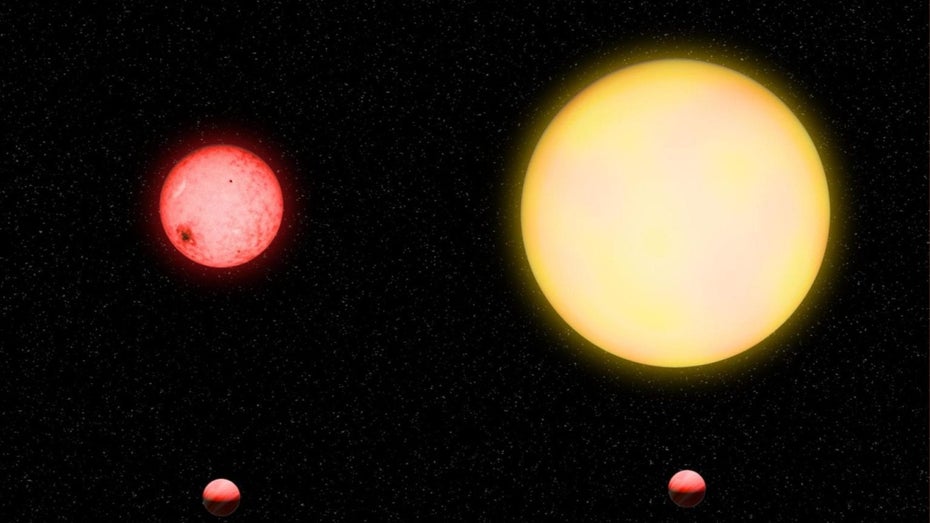 Ungleiche Verhältnisse: Links oben ist der Mutterstern zu sehen, darunter befindet sich TOI-5205b. Zum Vergleich ist daneben die Sonne und darunter unser Jupiter abgebildet. (Credit: Katherine Cain, Carnegie) Nasa-Sichtung: Exoplanet ist zu groß – Theorie der Planetenentstehung steht infrage