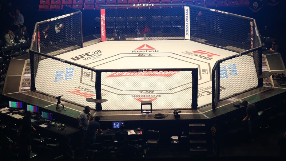 Octagon UFC Kampf Musk Zuckerberg 