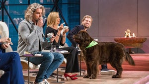 DHDL: Babypads begeistern alle, Eis für Hunde schmeckt Wöhrl und Co nicht