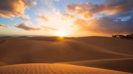 Stella Terra: Solar Team Eindhoven entwickelt neuen solarbetriebenen Geländewagen