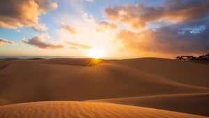 Von KI-Urteil bis E-Lkw: Diese 8 Tech-Meldungen aus 2025 lassen hoffen Von KI-Urteil bis E-Lkw: Diese 8 Tech-Meldungen aus 2025 lassen hoffen