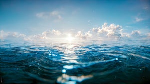 Größte CO2-Senke der Welt: So könnten Ozeane mehr Kohlenstoff aufnehmen und dem Klima helfen