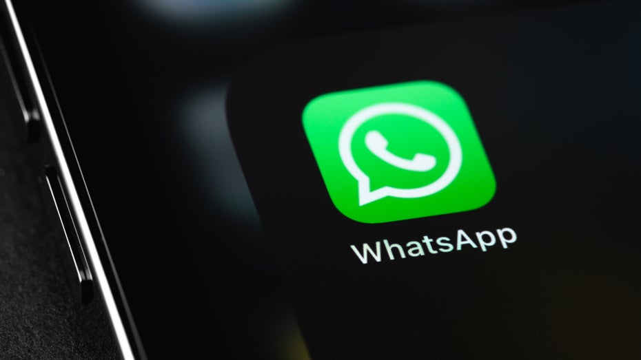 Whatsapp nimmt teilweise viel Speicherplatz ein. (Foto: Primakov/Shutterstock) WhatsApp frisst unnötig Speicherplatz? So löst ihr das Problem