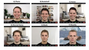 Zoom: Forscher erklärt, wieso du Bücher im Hintergrund stehen haben solltest