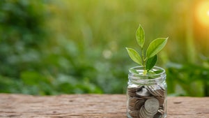 Studie: So verändert sich der Markt, wenn die Wirtschaft nachhaltig wird