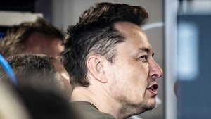 38.000 Tweets zeigen: Elon Musk scheint kaum noch zu schlafen
