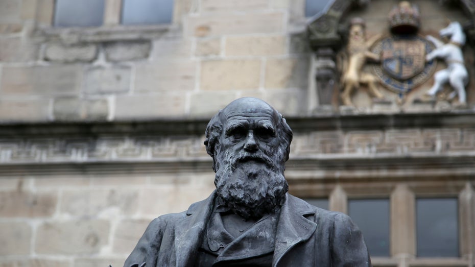 Forscher rekonstruieren Charles Darwins Bibliothek – und ihr könnt auf viele Werke zugreifen