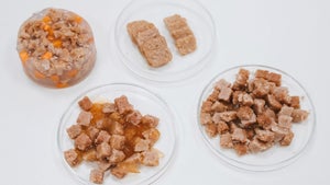 Laborfleisch für Haustiere erstmals im Vereinigten Königreich im Handel: Was bei solchem Tierfutter anders ist