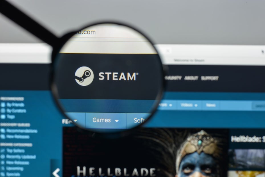 Steam: Warum Gamer ein Multiplayer-Spiel zocken, in dem sie die meiste Zeit warten müssen