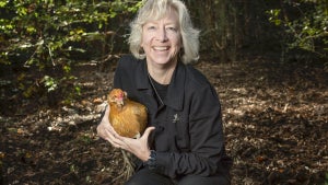 Ökonomie trifft Ökologie: Diese Frau beziffert den Geldwert einer Honigbiene