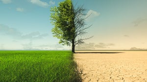 Klimaschutz: So schlüsseln sich die Hilfen des Grünen Klimafonds auf