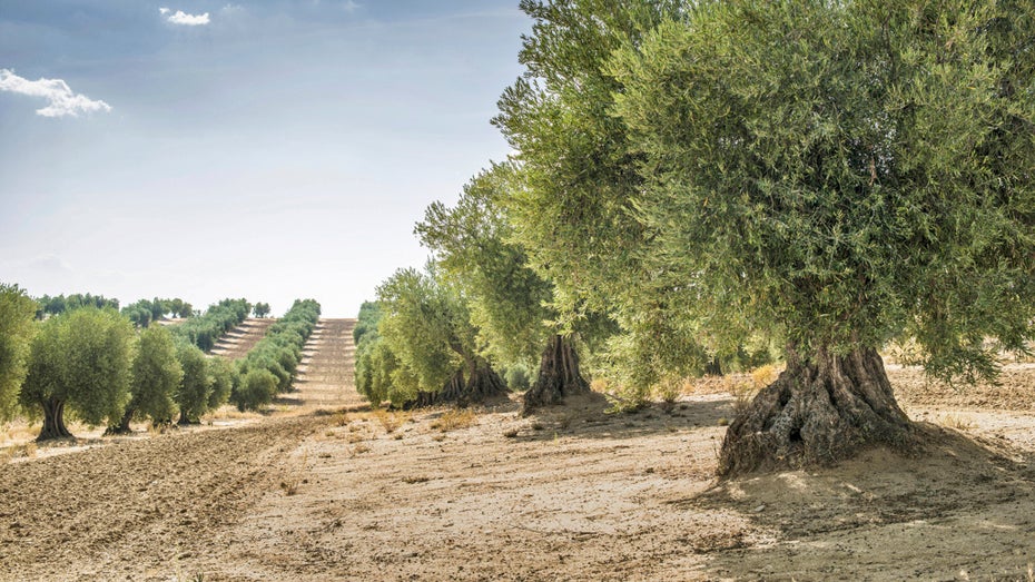 Katastrophen und Krisen: Wie wir trotzdem optimistisch bleiben können