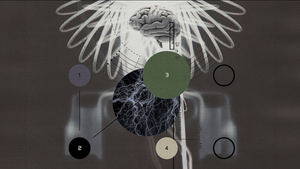 Bewusstsein der KI: Wie die Forschung untersucht, ob ChatGPT und Co. die reale Welt erleben