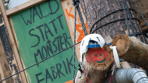 Tesla-Protestcamp: Ein halbes Jahr im Wald und kein Ende in Sicht