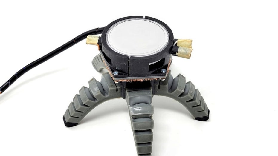 Biohybrid-Roboter auf Pilzbasis. (Foto: Cornell University) Forscher der Cornell University verpassen Pilz Roboterbeine – und der Biohybrid läuft los