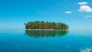 Internet-Domain .tk: Wie dieses Südsee-Archipel zur Heimat des Cybercrimes wurde Internet-Domain .tk: Wie dieses Südsee-Archipel zur Heimat des Cybercrimes wurde