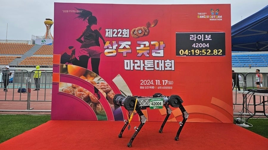 Roboterhund Raibo2 Marathon