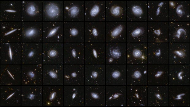 Beispiele von Galaxien in verschiedenen Formen, die alle von Euclid während seiner ersten Beobachtungen in den Deep Field-Gebieten aufgenommen wurden.