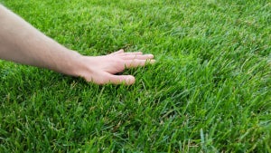 Kein Witz: Diese App sperrt dein Smartphone, bis du wirklich Gras berührst