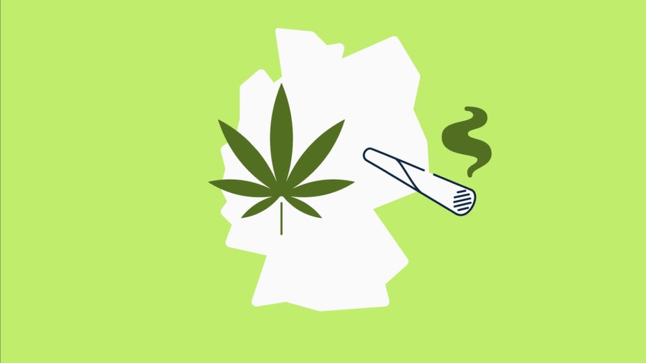 Wo Cannabis-Clubs am stärksten verbreitet sind – Statistik der Woche