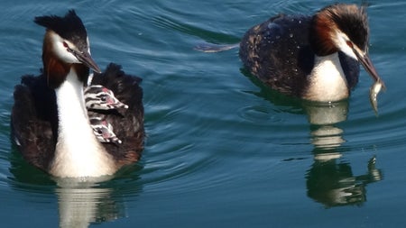 Kompaktkamera von 2012 gegen Galaxy A55: Wer macht die besseren Fotos? Kompaktkamera von 2012 gegen Galaxy A55: Wer macht die besseren Fotos?