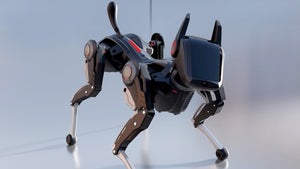 Sirius: Dieser Roboterhund soll ein Haustier ersetzen können Sirius: Dieser Roboterhund soll ein Haustier ersetzen können