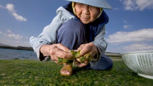 Blue Zones: Diese Orte wollen das Geheimnis der Langlebigkeit haben– kann das wirklich sein?