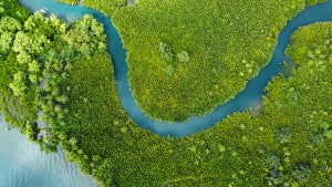 Marketing Technologie: Survival-Tipps für den Martech-Dschungel