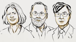 Medizin-Nobelpreis geht an drei Immunforscher