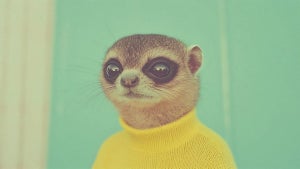 Von TikTok-Trash zu Auktionen bei Sotheby’s: So kämpft KI-Kunst um Anerkennung