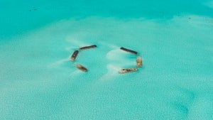 Malediven durch Klimawandel bedroht: So sollen Sandfänger die Inseln retten