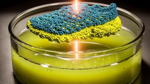 Polyurethan-Recycling: KI findet Enzym, das aus alten Schuhsohlen wieder brauchbaren Rohstoff macht Polyurethan-Recycling: KI findet Enzym, das aus alten Schuhsohlen wieder brauchbaren Rohstoff macht