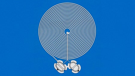 Das letzte große Rätsel der Physik: Rückt der Beweis für Quantengravitation in greifbare Nähe?