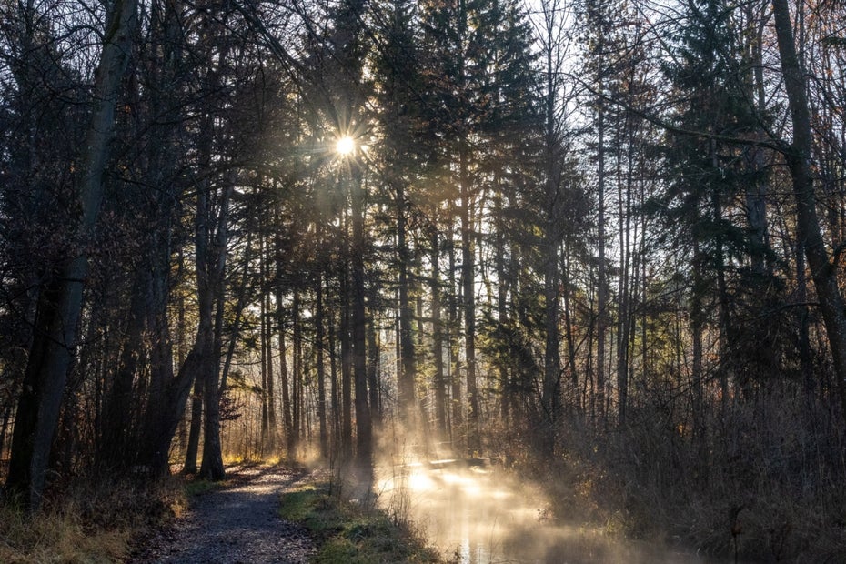 Training resilience: How to get through the dark season better with small ...