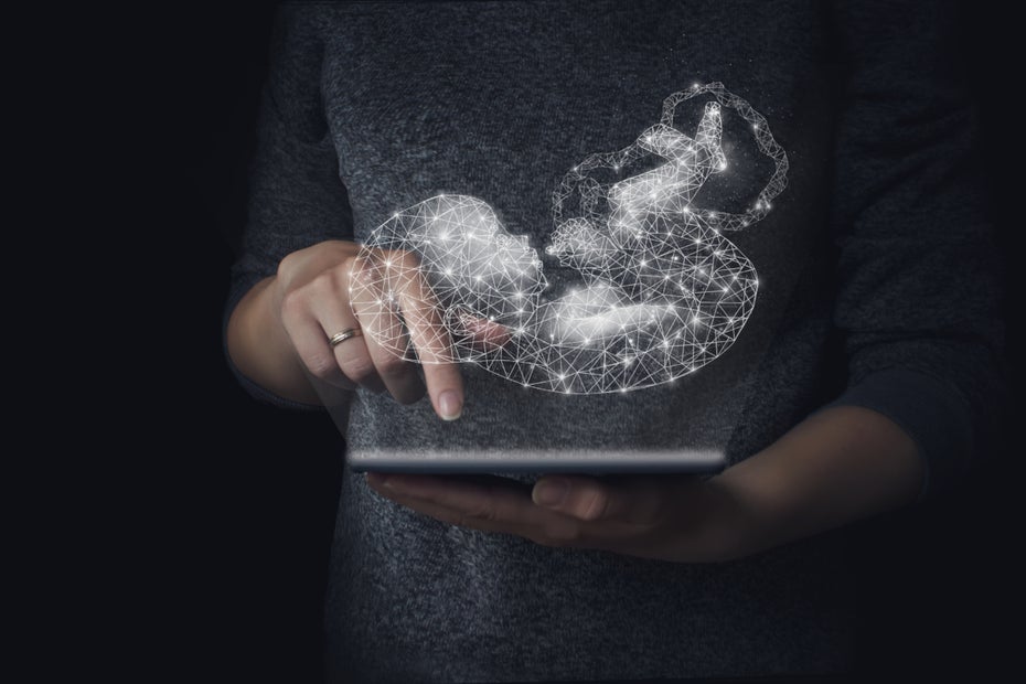 Gebärmutter 24 Stunden außerhalb des Körpers am Leben gehalten – mit dieser Maschine