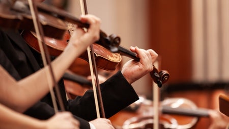 Studie der TU Berlin: Warum die Farbe im Konzertsaal beeinflusst, wie gut dir die Musik gef&auml;llt