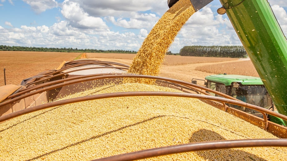 Gentechnik in der EU: Warum CRISPR-Pflanzen nur eine Teillösung einer grünen Landwirtschaft sind