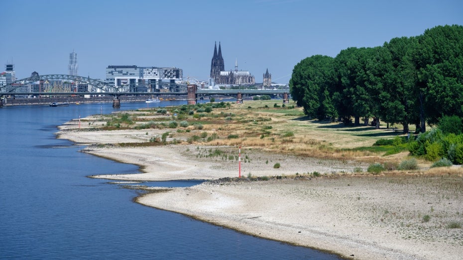 „Die Folgen enden nicht mit steigenden Wasserständen“: Was die niedrigen Pegel für unsere Wirtschaft bedeuten