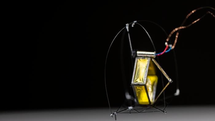 Zentimetergenau: Kleiner Roboter kann genauso hoch springen, wie ihm vorgegeben wird