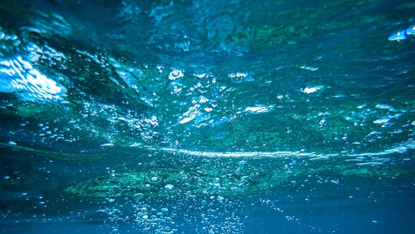 Unterwasser-Solarzellen: Chinesische Forscher erzeugen Strom in 10 Metern Tiefe