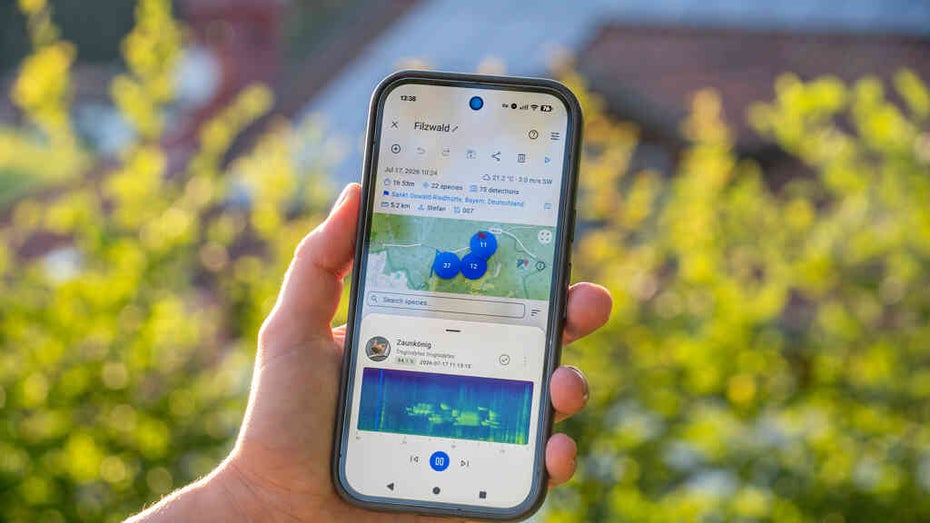 Birdnet Live erkennt fast 9.000 Vogelarten – wir haben die KI-App ausprobiert