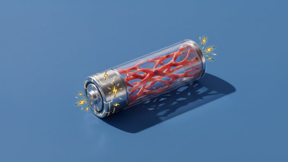 Schluss mit Batteriewechsel: Wie schlagende Herzzellen bald Implantate mit Strom versorgen könnten
