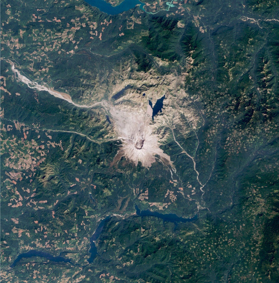 Der grau-braune Mount St. Helens ist mittig im Bild zu erkennen, sonst ist das Bild größtenteils grün.