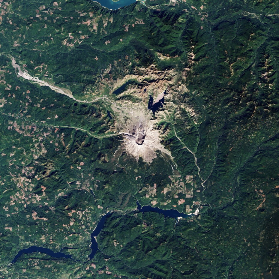 Der grau-braune Mount St. Helens liegt in einer grünen Landschaft.