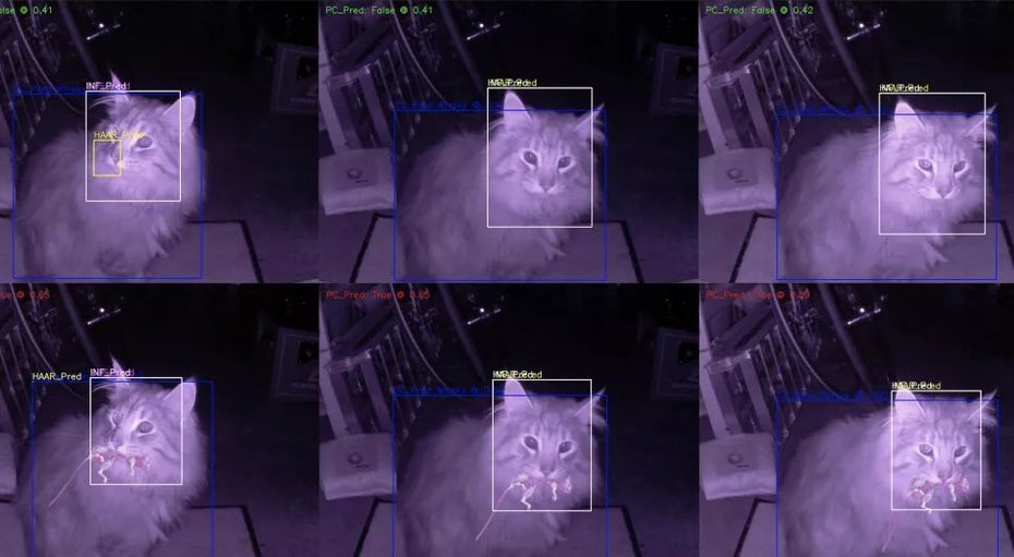 Die eigene Katze lässt man ja gerne rein. Die gefangene Maus darf aber gerne draußen bleiben.