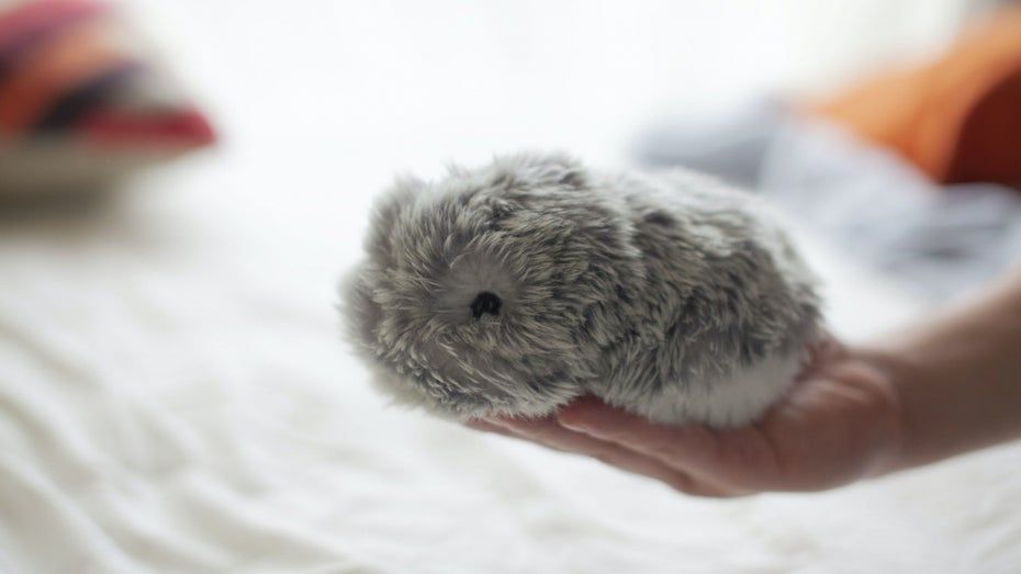 Ein hamsterähnlicher, flauschiger Roboter in grau, der auf eine Handfläche passt